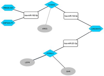 Mechanistic Insight Into the Regulation of Immune-Related Genes Expression in Autism Spectrum Disorder